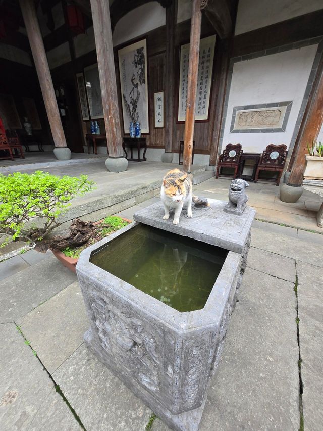 安徽