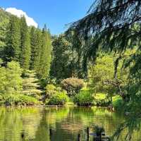 🌿【深圳仙湖植物園懶人攻略】✨