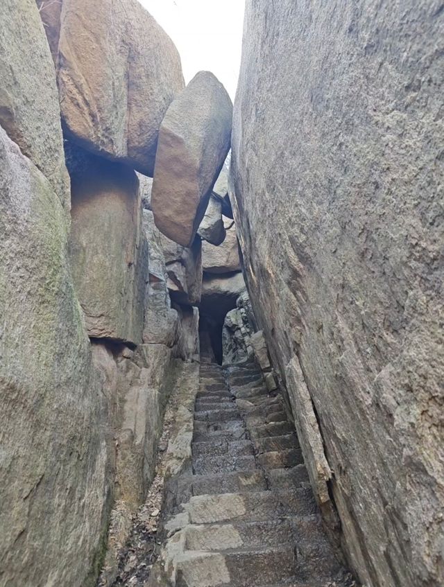 四月芳菲醉魯山，探秘淄博春日嘅綠野仙蹤