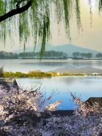 清明節短假期·3日輕鬆旅行指南