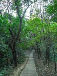 #尋蹤廣州潯峰山生態公園，邂逅自然之美