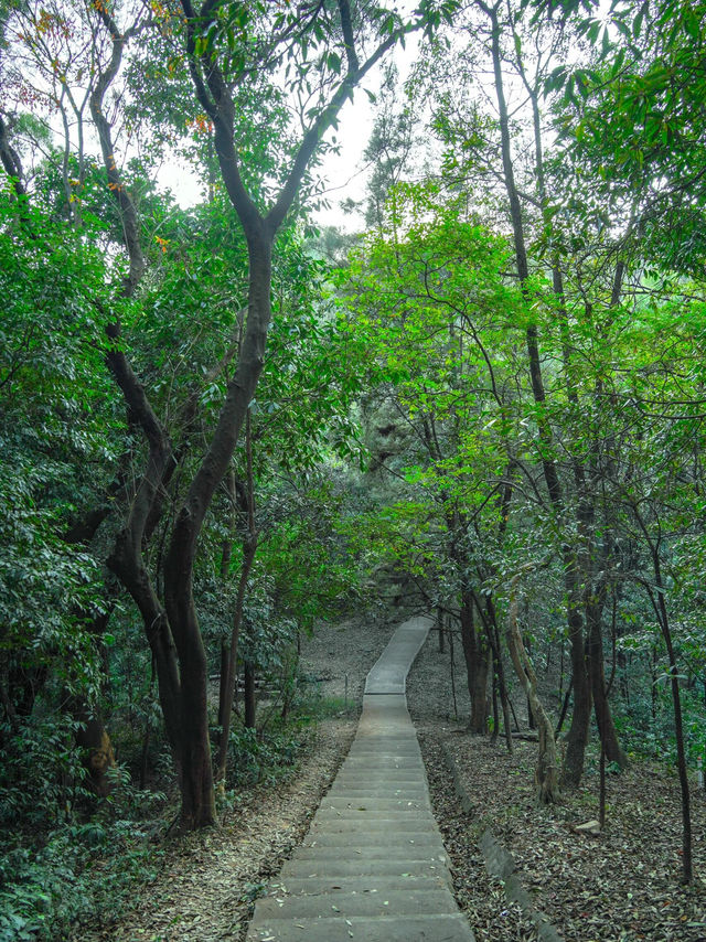 #尋蹤廣州潯峰山生態公園，邂逅自然之美