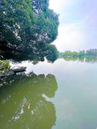 東山湖公園嘅中式美學