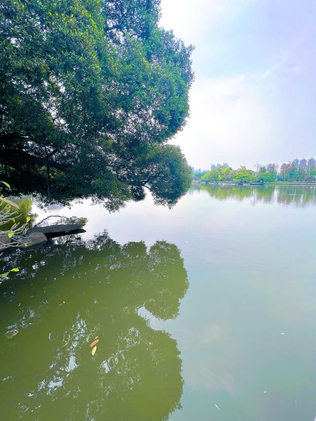 東山湖公園嘅中式美學