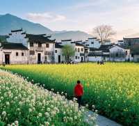宏村景區