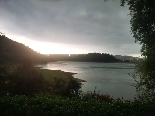 《湖光之間，安放片刻靈魂》☁️🌿｜陽春東湖公園散步隨筆
