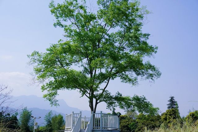 邂逅最美春山外：