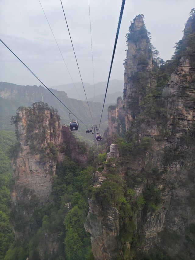 奇峰入畫‧雲海滌心：張家界國家森林公園的仙俠秘境之旅