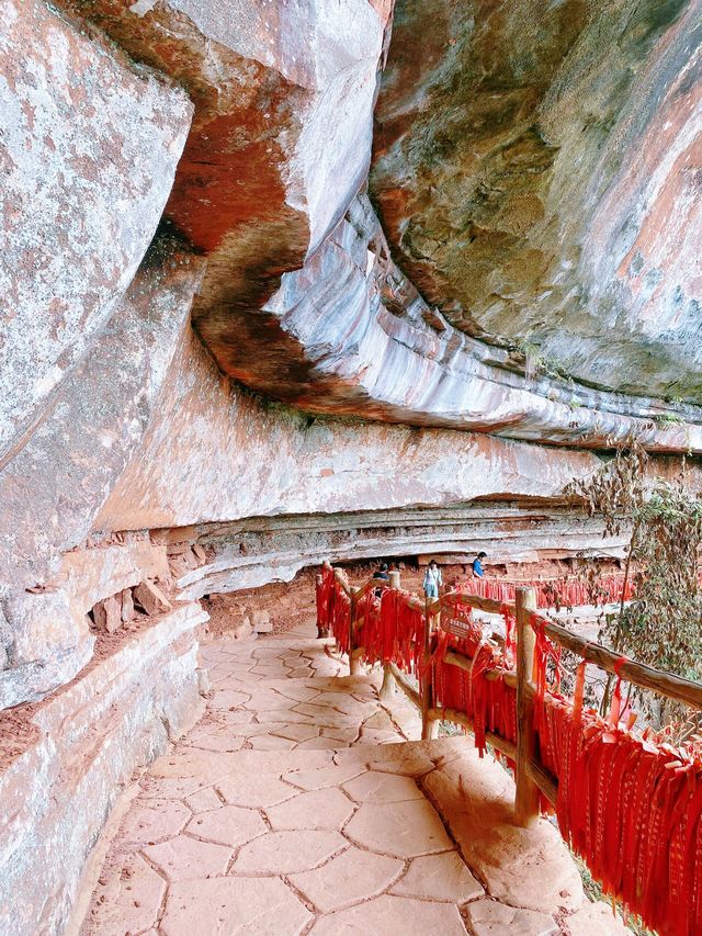賞花採果之旅，體驗田園樂趣