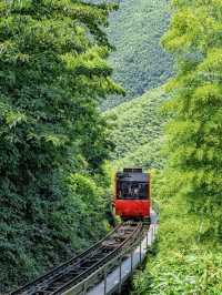 安雲悦南山度假酒店｜捕捉山水詩意與現代雅韻