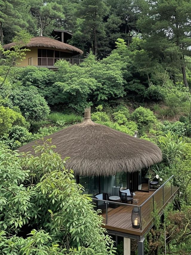 剛從安吉老莊山居逃回！這3個坑讓全家累癱