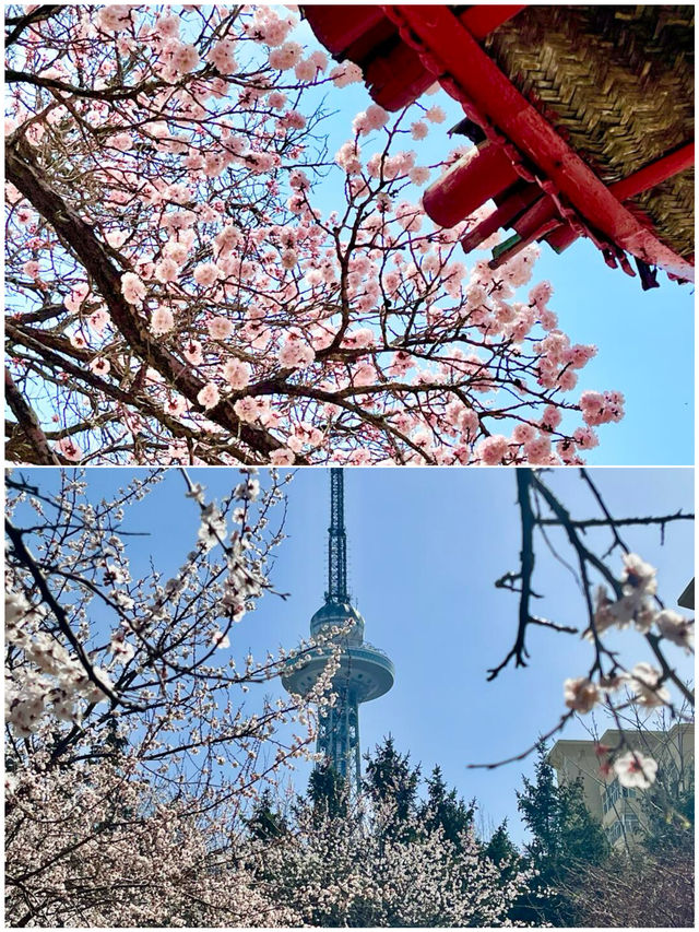哈爾濱受凍已回，真不建議4月去