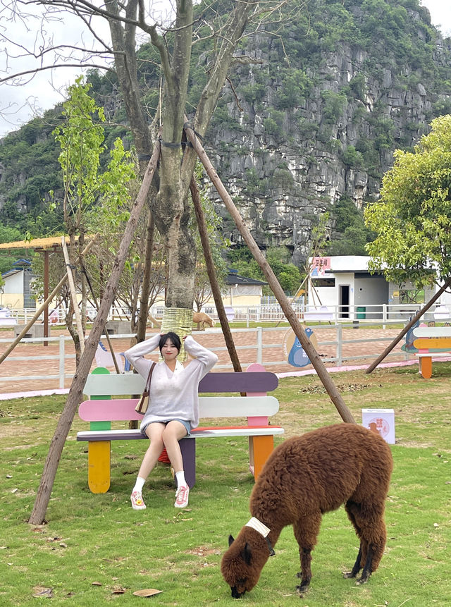 在桂林！現實版動物城！太治癒啦
