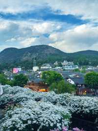 麗江民宿天花板！住到唔想走～