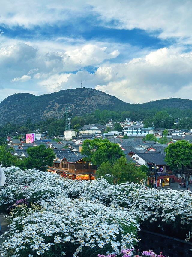 麗江民宿天花板！住到唔想走～