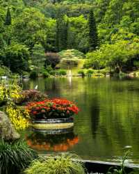 一齊去公園行下·深圳仙湖植物園！