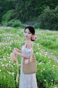 平陽嘅花海已經係next level喇