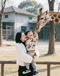 住進動物王國，睇國寶賞馬戲全攻略