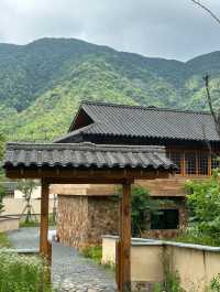 深圳後花園~一直好想斷捨離咁住喺山入面！