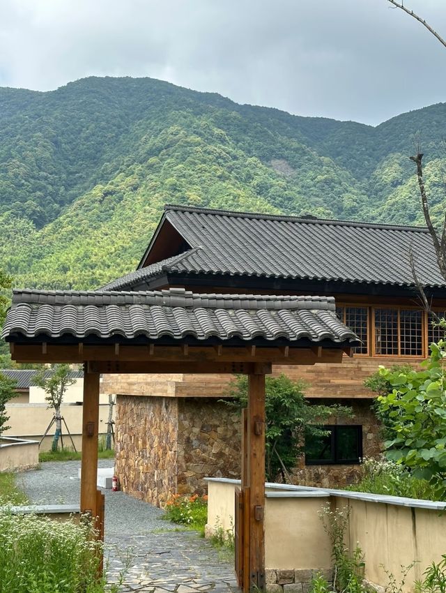 深圳後花園~一直好想斷捨離咁住喺山入面！