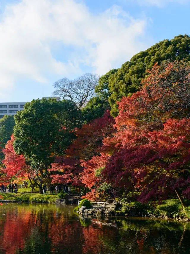 6-Day Japan Adventure That Will Blow Up Your Social Media Feed