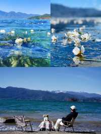 六月瀘沽湖嘅水性楊花開啦~係莫奈筆下嘅油畫
