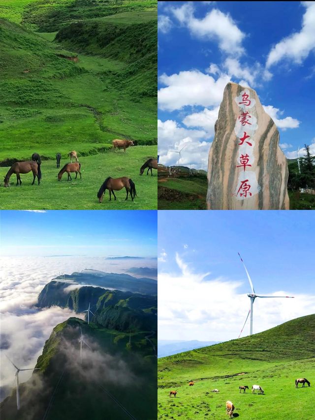 奔向烏蒙大草原，邂逅夏日嘅清涼與浪漫