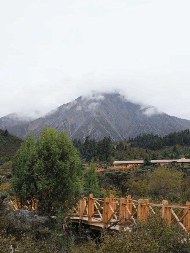 《祁連山草原拍照攻略：如何拍出「北歐風」大片》