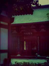 【尋幽探祕：五雲山真跡寺的禪意與金黃詩篇】
