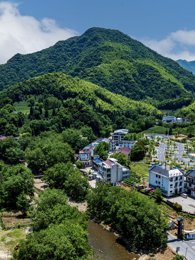 酷暑住進皖南山水畫夏日清涼保姆級攻略