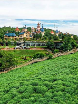 Yunnan's Hidden Family-Friendly Secret Spots | 5 Days 4 Nights Mile + Puzhehei + Fenglongwan Fairy Tale Journey