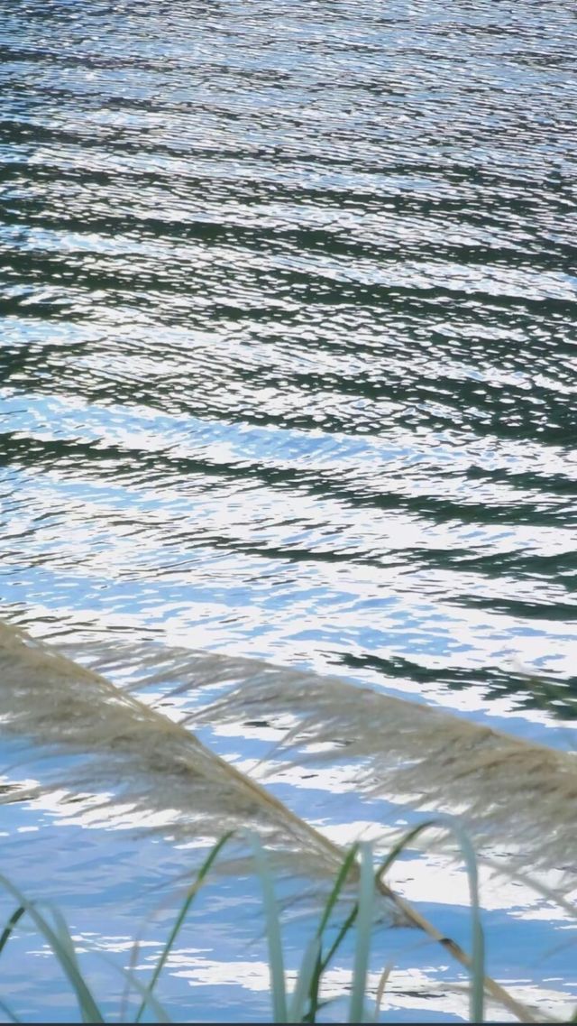 古鎮山水最佳視角