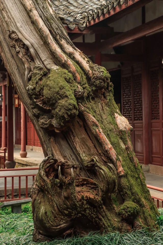 走進金華太平天國侍王府