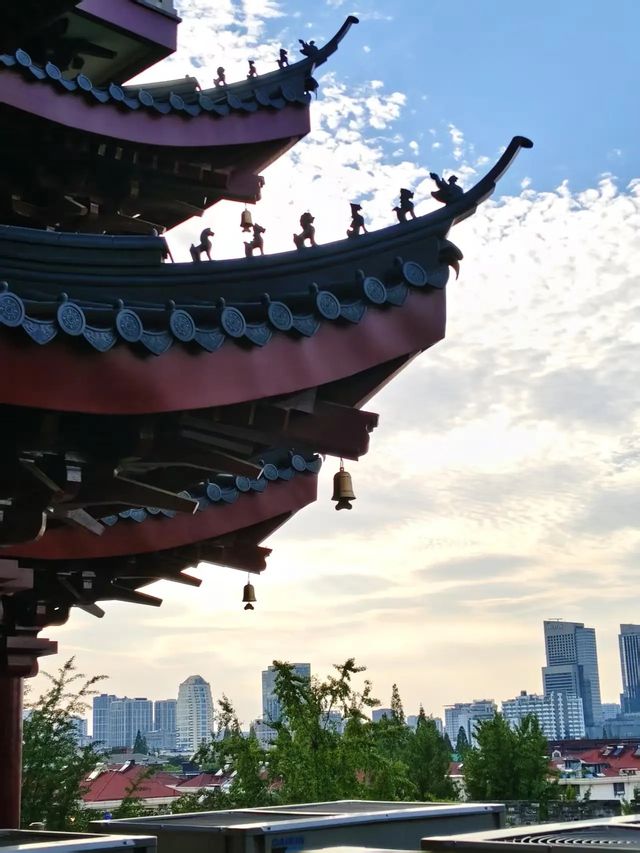 梧桐大道旅遊攻略