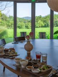 美術館稻田裡的夏日|人生應該有一場暑假