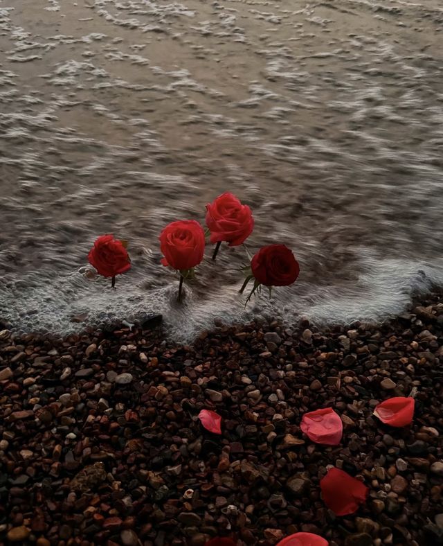 今日份嘅浪漫，撈漁河嘅日落包辦咗