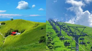 Tokyo One-Day Trip to Izu｜Complete Transportation and Travel Guide