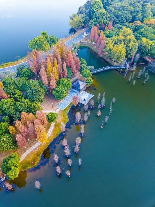 松山湖