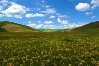 Poetic China's Golog Station: Golog Attractions Guide