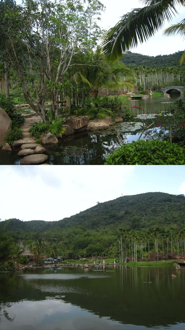 夢幻谷暴雨後異變溪流倒流成鏡面，照出你前世族民裝束！