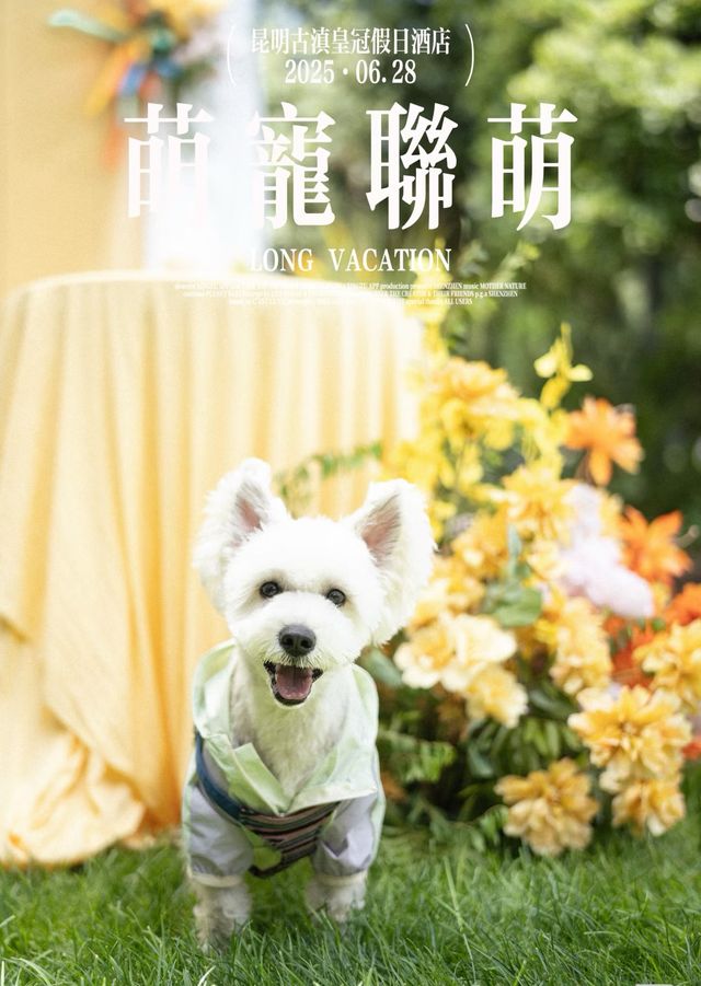 昆明古滇皇冠-宠物联盟