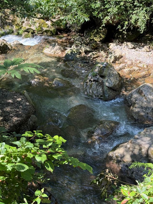 夏日消暑推介！青城後山玩水勝地週末快啲去打卡！
