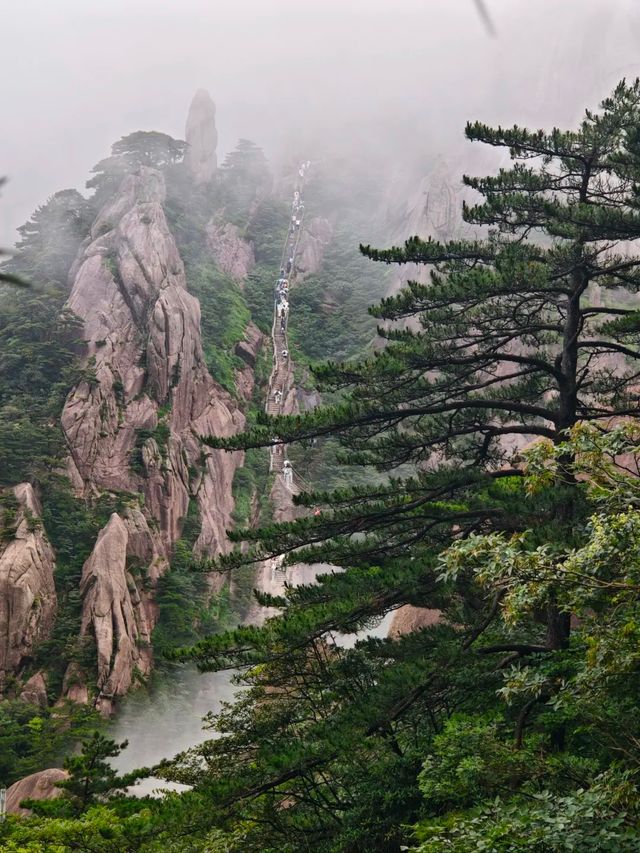 黃山2日1夜懶人包：登頂賞雲海，漫遊古徽州