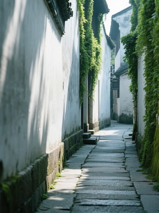 在紹興住了8晚才懂！這才是魯迅沒寫透的江南魂