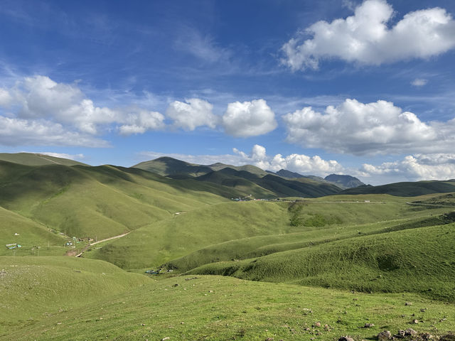 雲上草原：會澤大海草山的治癒之旅