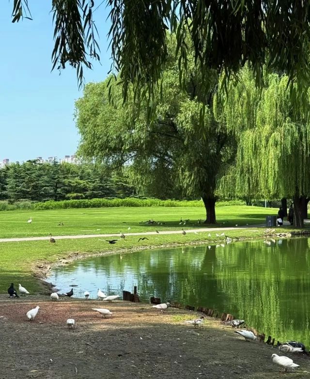 北京被低估的免費公園｜不去後悔系列