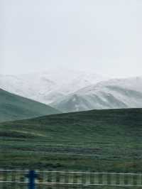 雪落甘南,洗滌塵囂