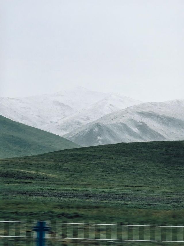 雪落甘南,洗滌塵囂 雪落甘南,洗滌塵囂