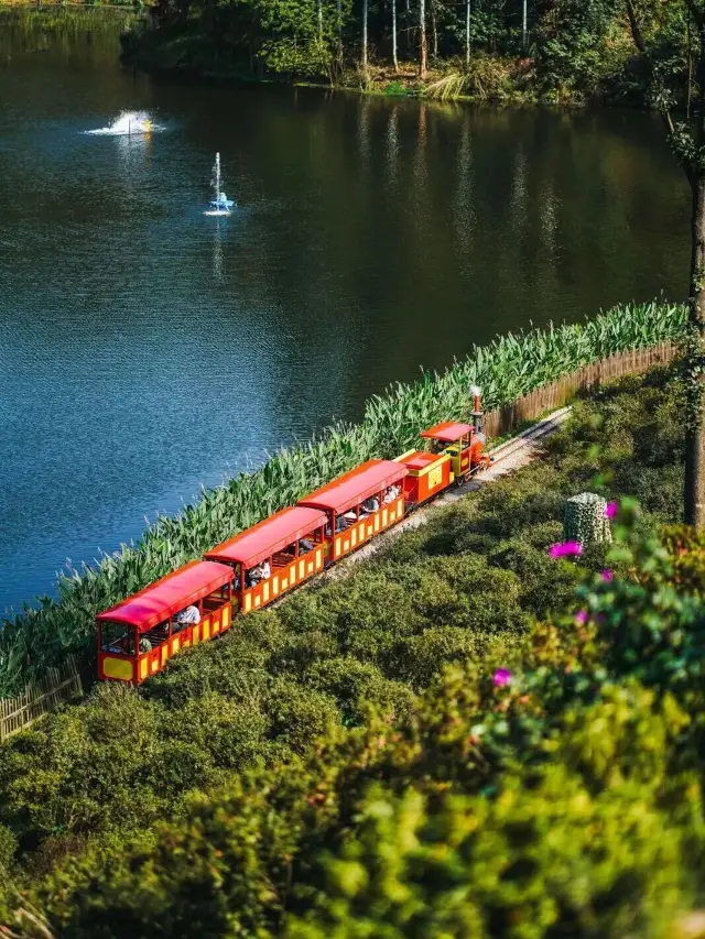 Free Admission + Discounts! Special Teacher's Day Benefits at Chengdu Attractions