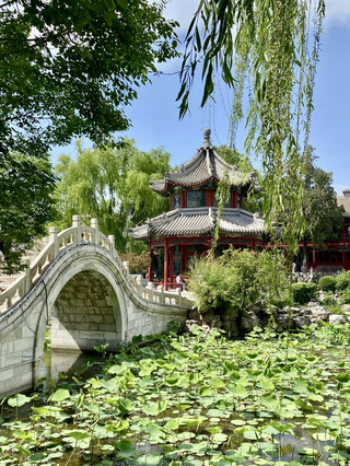 Lotus Pond Serenity, Ancient Academy Charm: The Ancient Lotus Pond